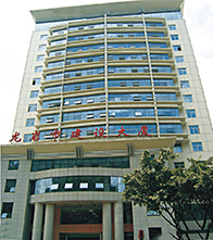 福建龙岩是建设大厦地基处理工程